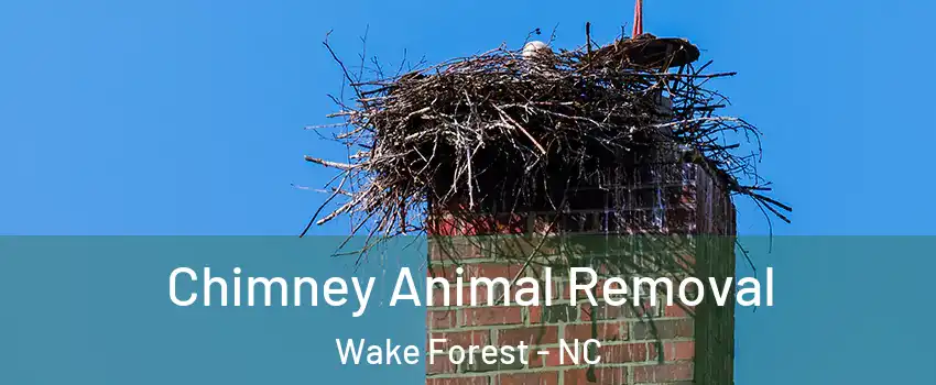 Chimney Animal Removal Wake Forest - NC
