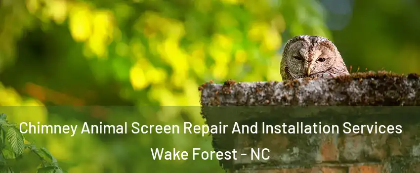  Chimney Animal Screen Repair And Installation Services Wake Forest - NC