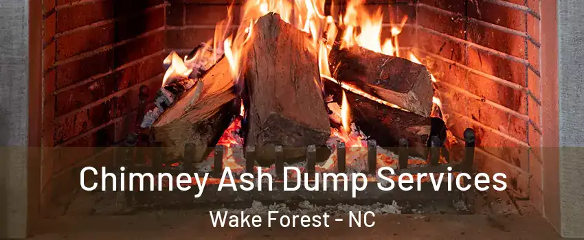  Chimney Ash Dump Services Wake Forest - NC