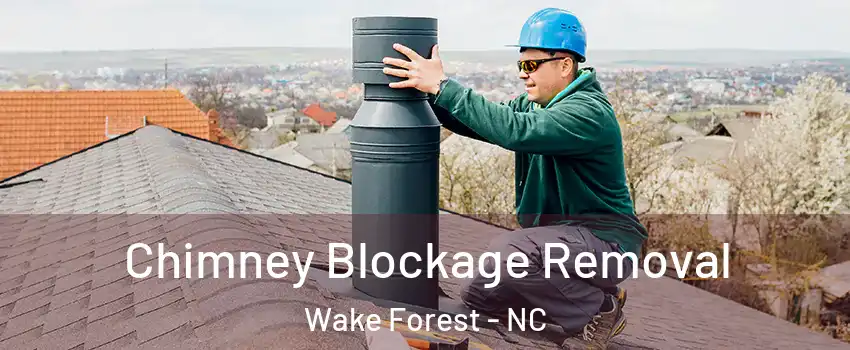  Chimney Blockage Removal Wake Forest - NC