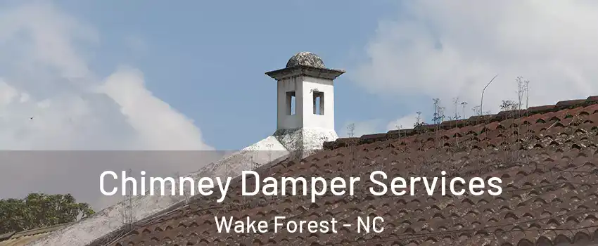  Chimney Damper Services Wake Forest - NC