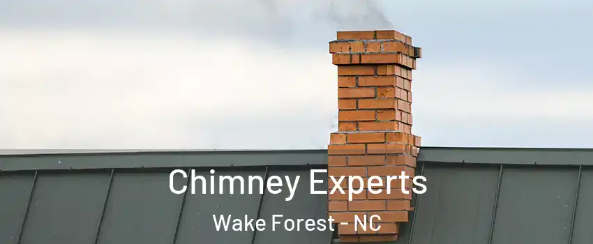Chimney Experts Wake Forest - NC
