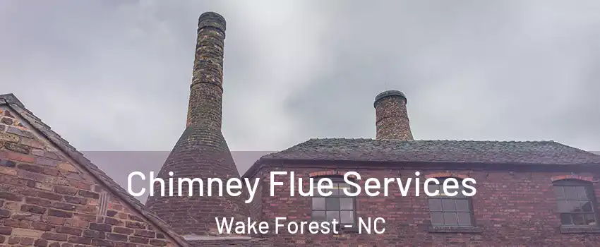  Chimney Flue Services Wake Forest - NC