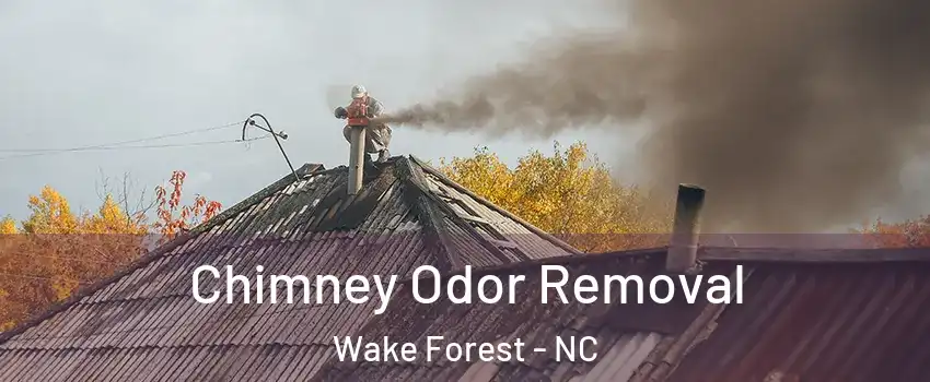  Chimney Odor Removal Wake Forest - NC