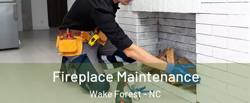  Fireplace Maintenance Wake Forest - NC