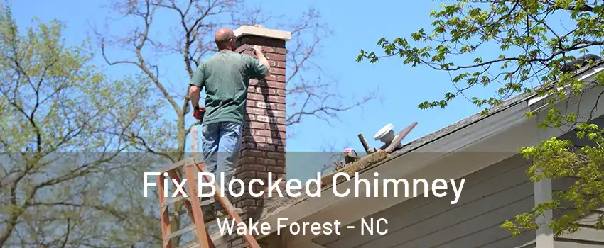  Fix Blocked Chimney Wake Forest - NC