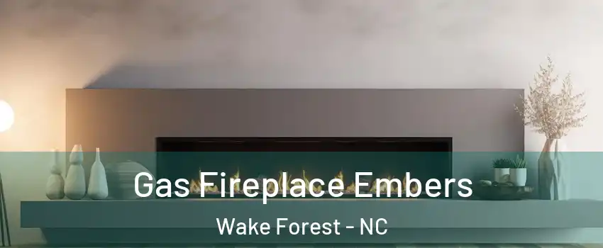  Gas Fireplace Embers Wake Forest - NC