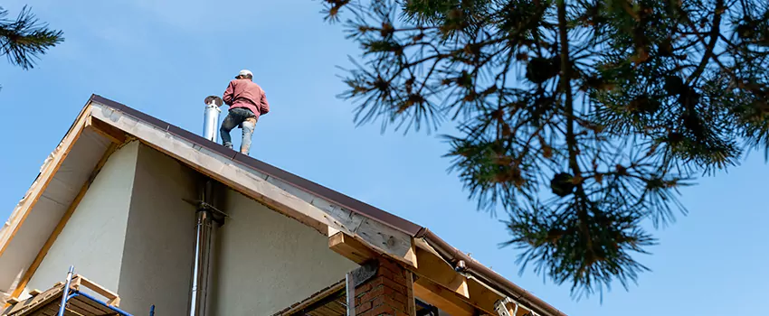 Birds Removal Contractors from Chimney in Wake Forest, NC