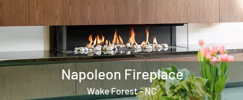  Napoleon Fireplace Wake Forest - NC