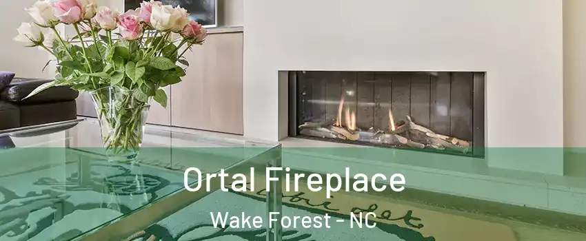 Ortal Fireplace Wake Forest - NC
